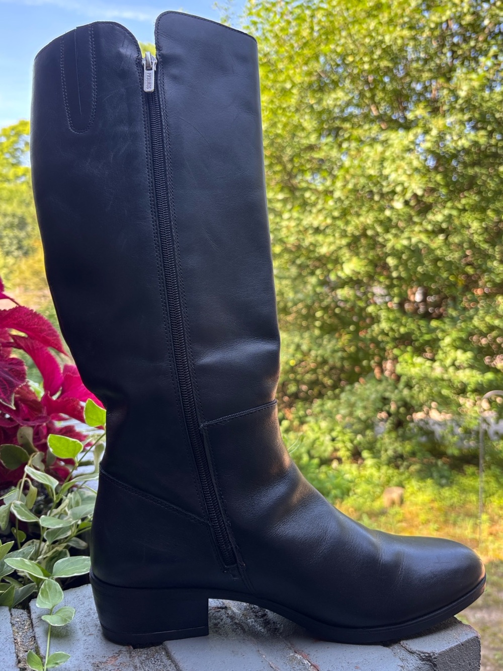 Pikolinos Daroca Black Leather Tall Riding Boots Size 41 EU (US 10-10.5)